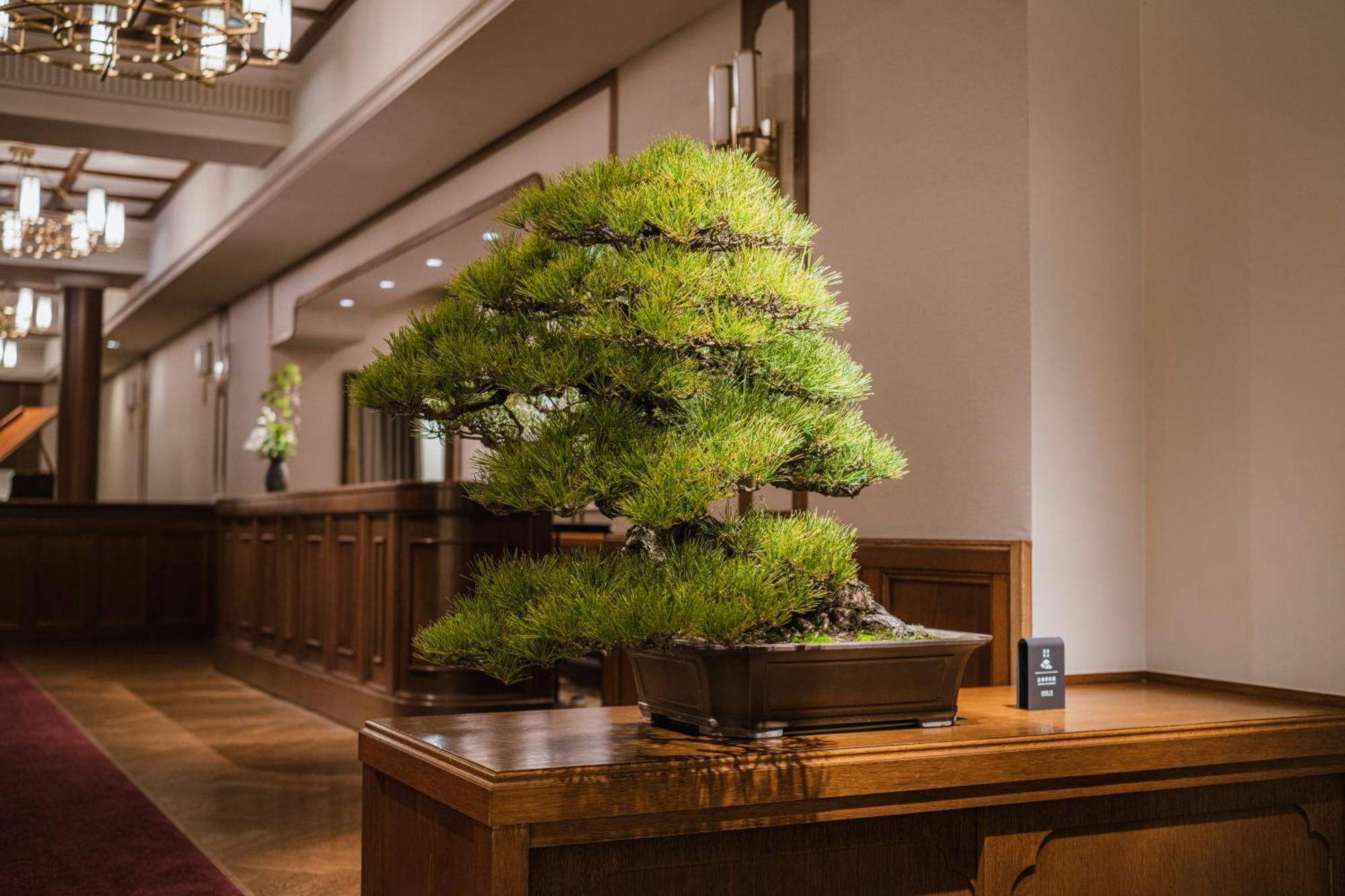 Hotel Shinzan Rakutei Toyooka  Esterno foto